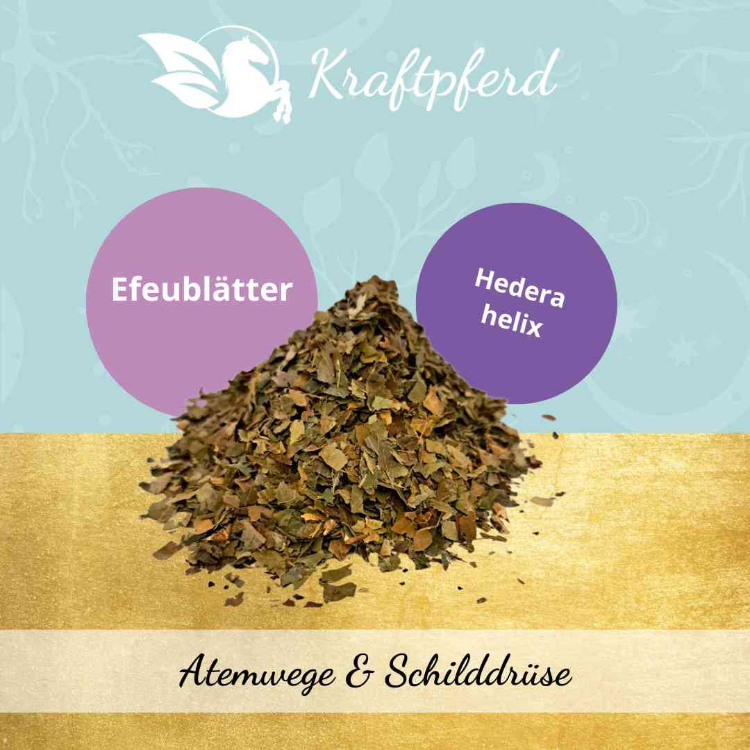 Efeublätter, geschnitten - 500 g – kraftpferd.shop