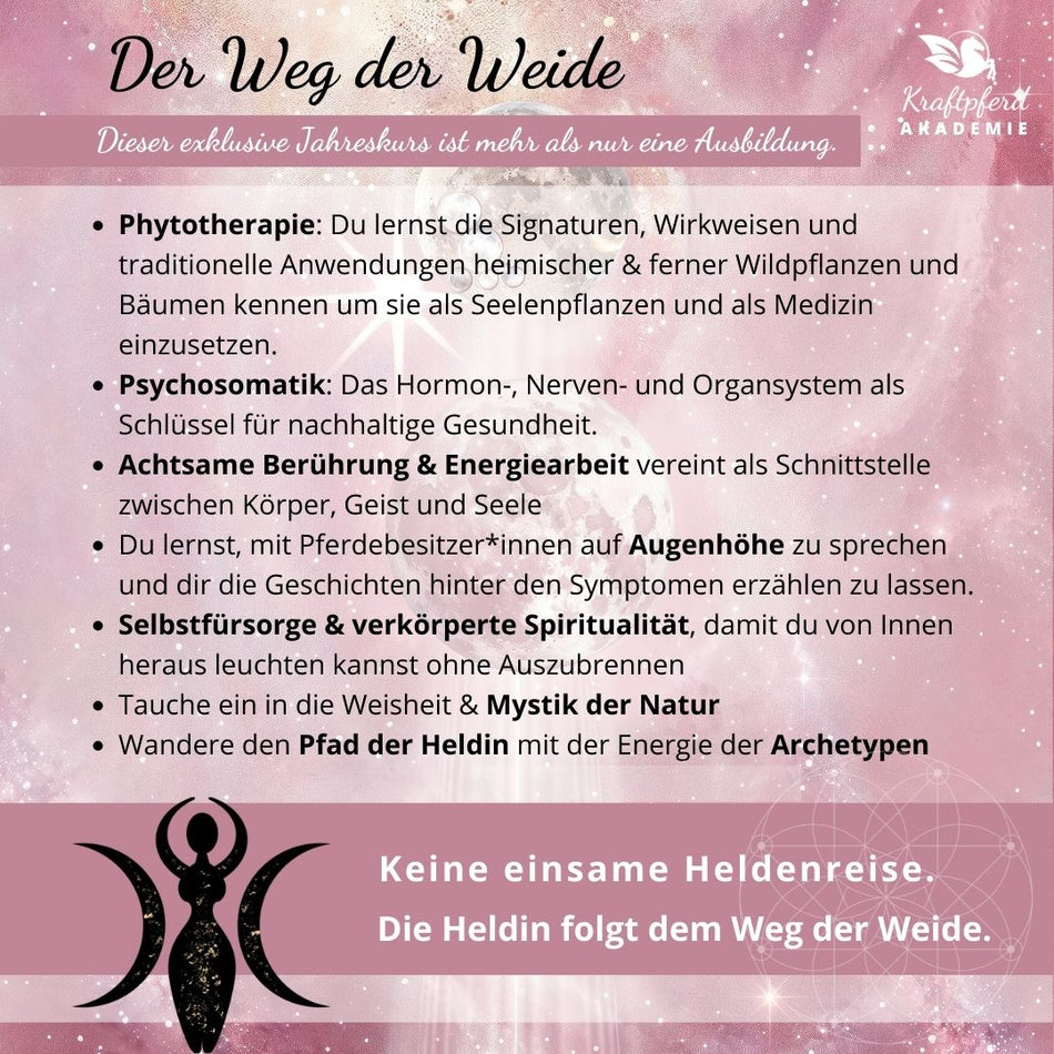 Preview: Infobroschüre zum Jahreszyklus 2025/2026 - Der Weg der Weide * aktualisiert