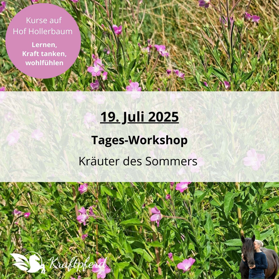19. Juli 2025 - Tages-Workshop * Kräuter des Sommers