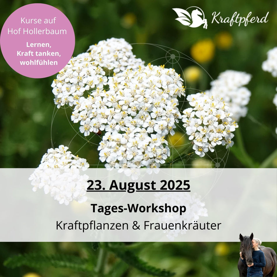 23. August 2025 - Tages-Workshop * Kräuter des Sommers