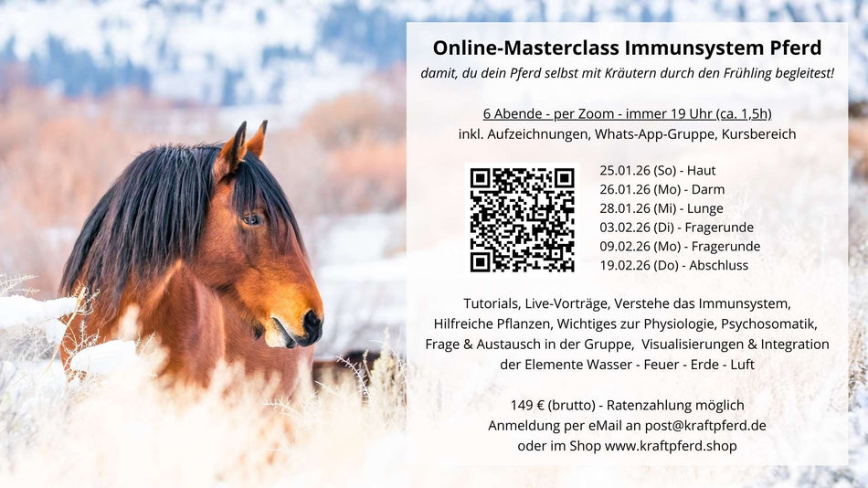 Online-Masterclass "Immunsystem Pferd" *** ausverkauft