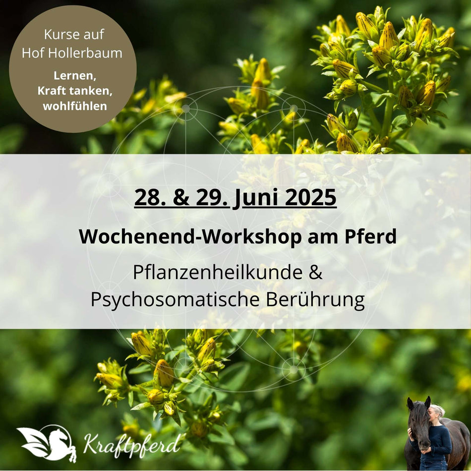 28. + 29. Juni 2025 - Wochenend-Workshop * Pflanzenheilkunde & Psychosomatische Berührung