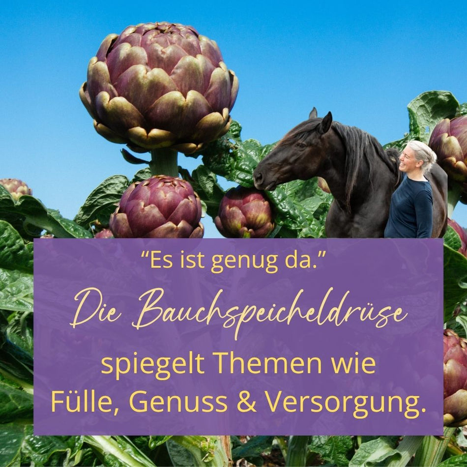 Webinar "Drüsentrieb" - jetzt als Aufzeichnung