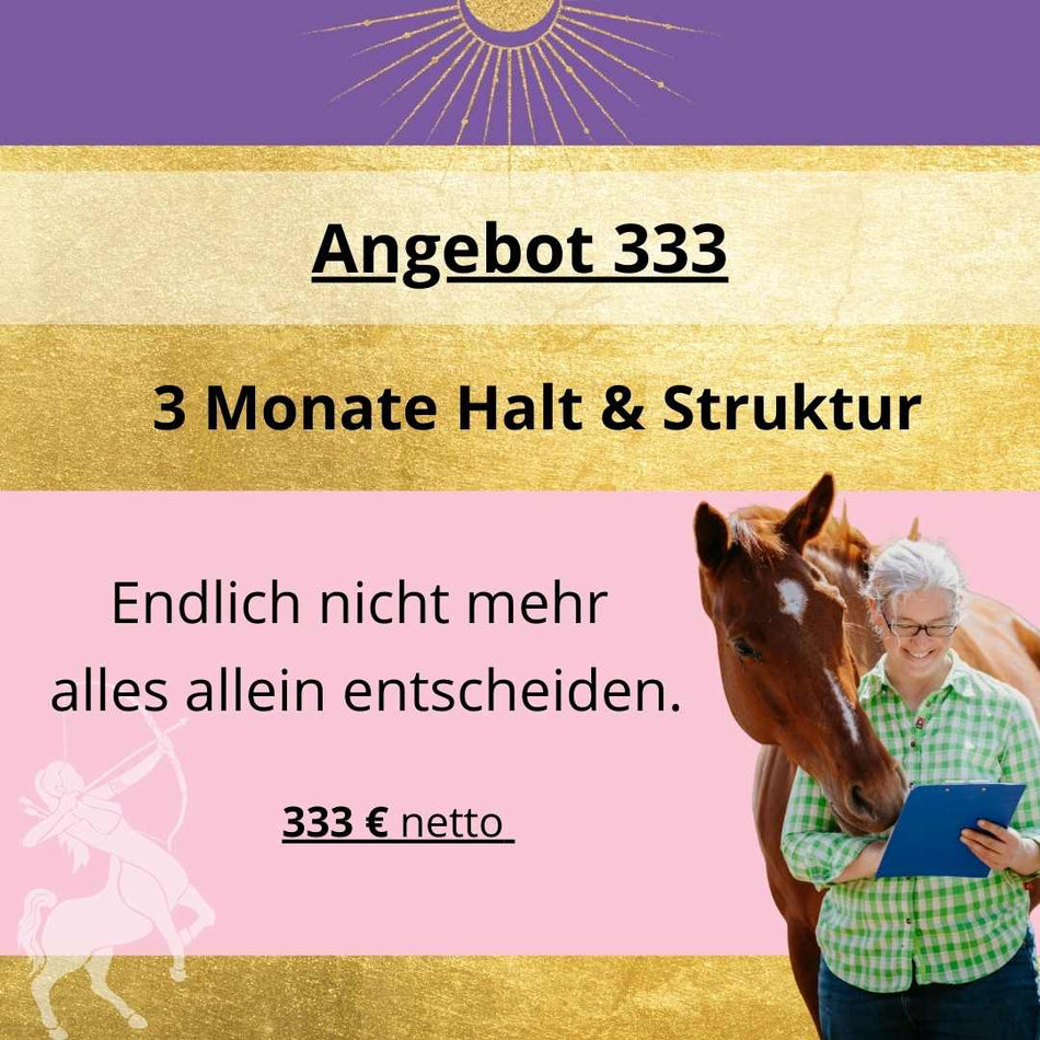 Angebot 333 – 3 Monate Halt & Struktur