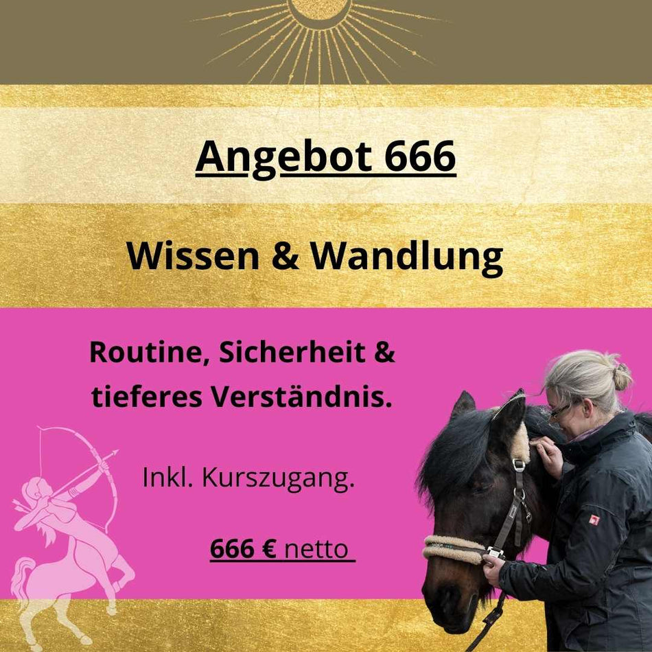 Angebot 666 – Wissen & Wandlung (3 Monate Begleitung inkl. Kurszugang)