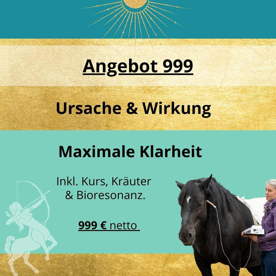 Angebot 999 – Ursache & Wirkung (3 Monate Begleitung inkl. Kurszugang, Kräuter & Bioresonanz)