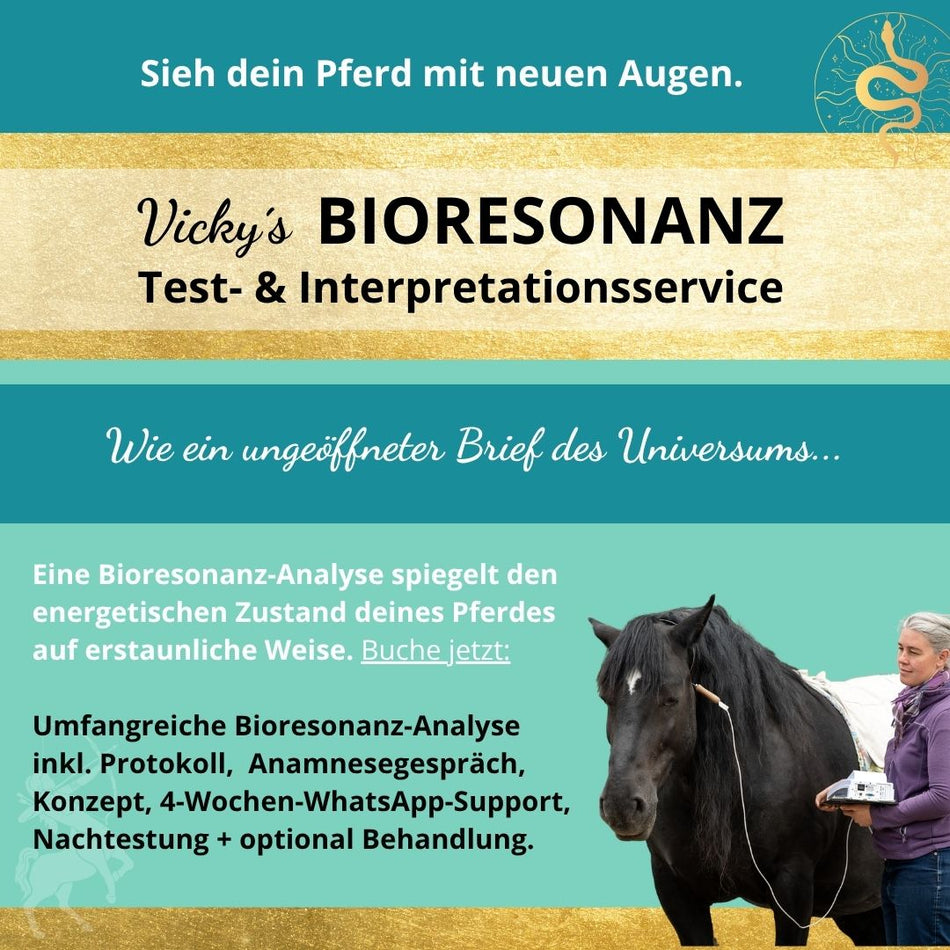 Vicky´s Bioresonanz-Test- & Interpretations-Service * Pilot-Preis