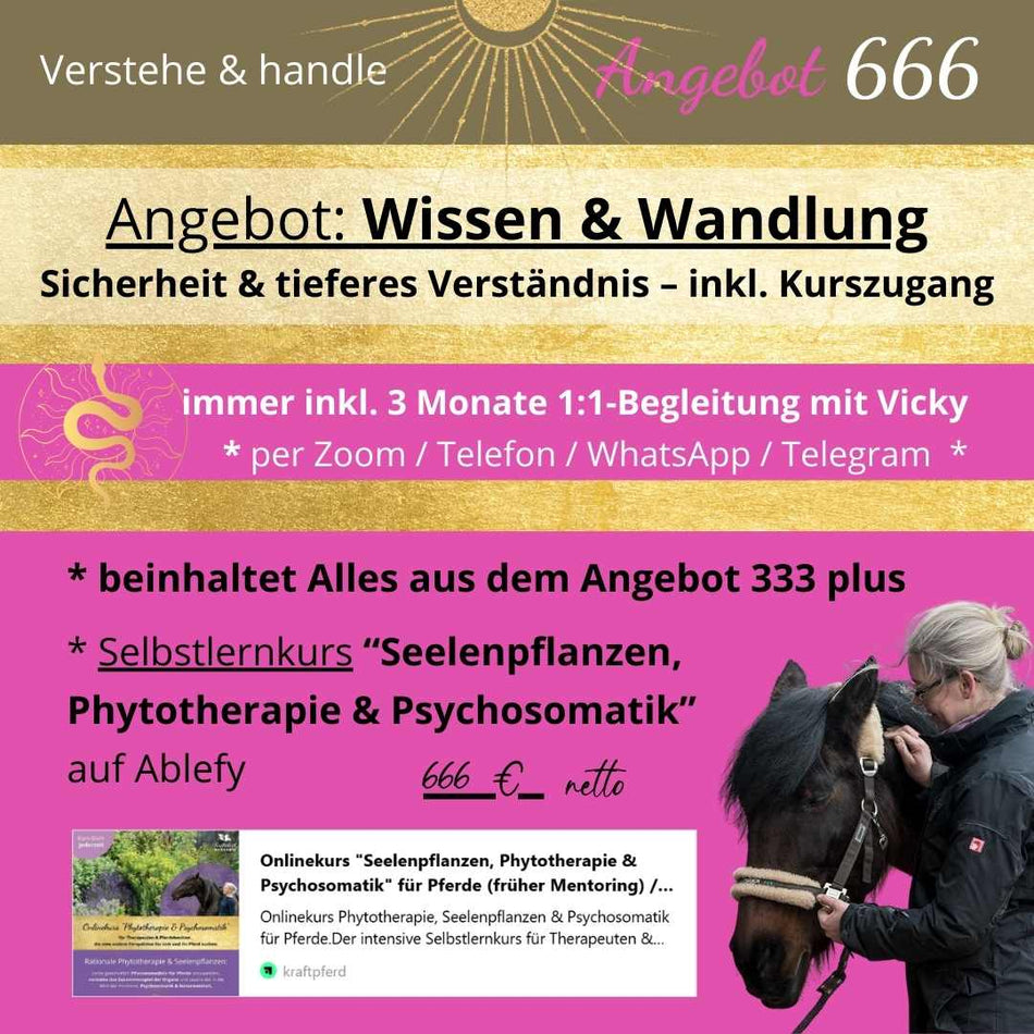 Angebot 666 – Wissen & Wandlung (3 Monate Begleitung inkl. Kurszugang)