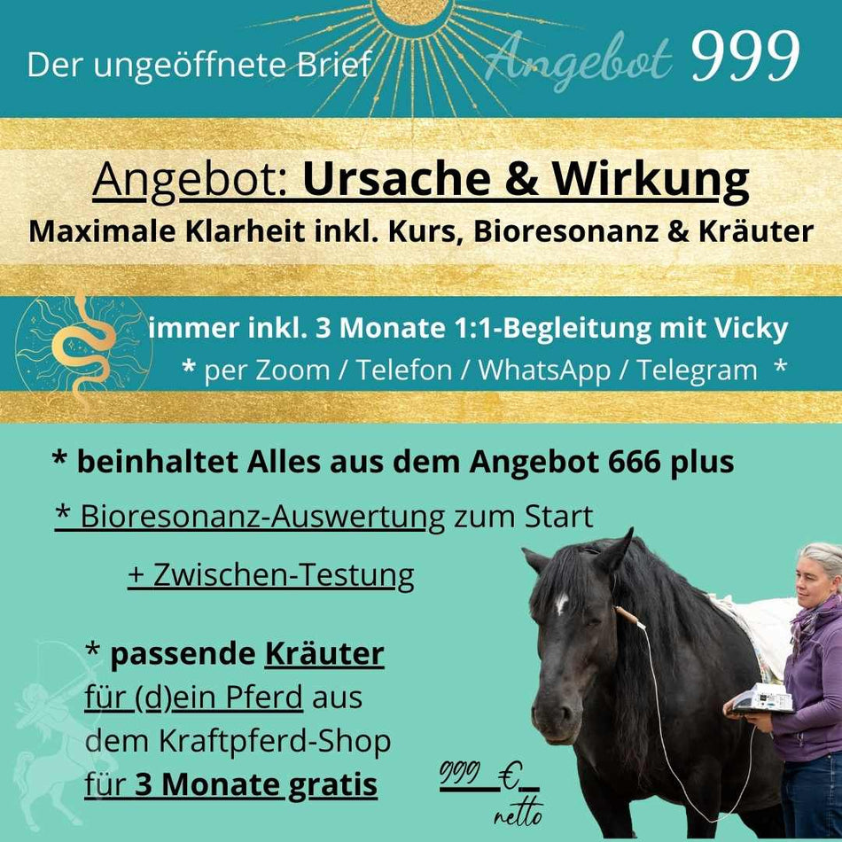 Angebot 999 – Ursache & Wirkung (3 Monate Begleitung inkl. Kurszugang, Kräuter & Bioresonanz)