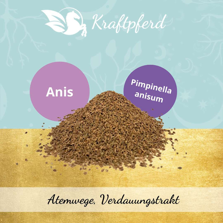 Anis, ganze Samen - 500 g