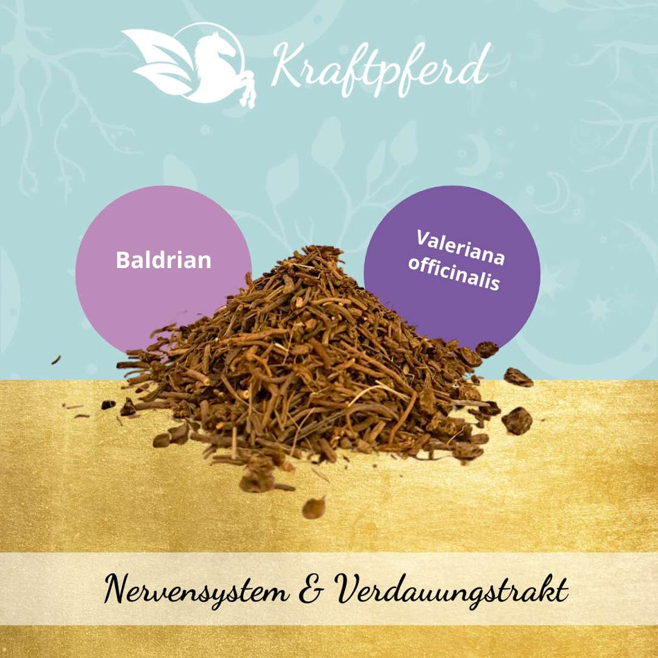 Baldrianwurzel, geschnitten