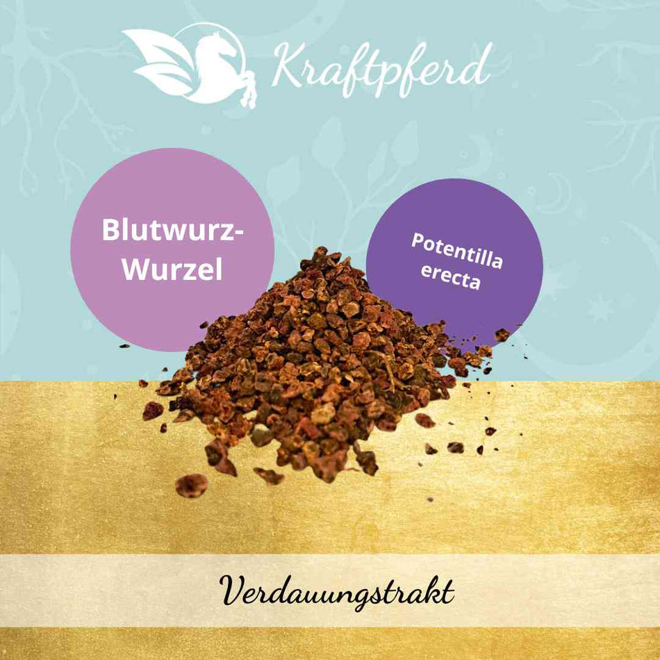 Blutwurz (Tormentillwurzel), geschnitten - 250 g * MHD: 25.01.24