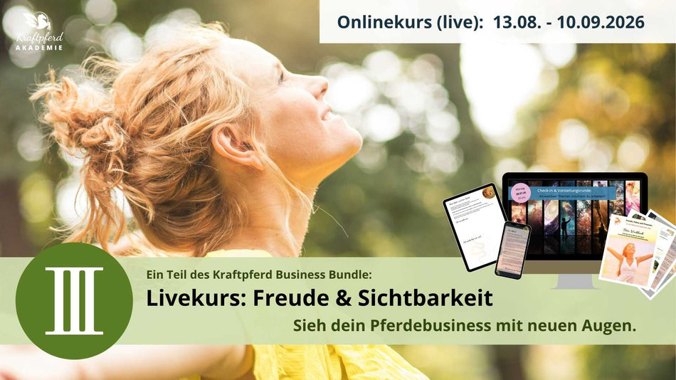 Business Bundle Gruppenprogramm: Freude & Sichtbarkeit (Online 13.08.-10.09.2026)