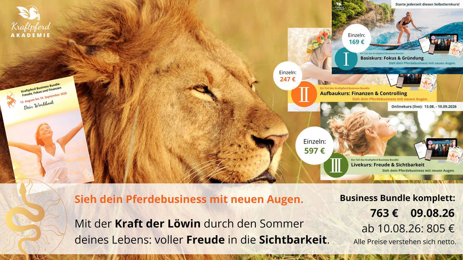 Business Bundle PAKET (Teil 1 + 2 + 3) als Special-Deal (nur bis 12.08.26)