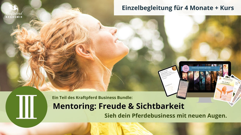 Business Bundle: Freude & Sichtbarkeit (Einzelbegleitung - starte jederzeit)