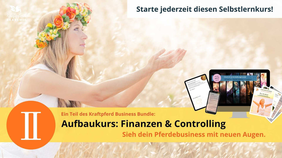 Business Bundle-Aufbaukurs:  Finanzen & Controlling als Selbstlernkurs (Einstieg jederzeit)