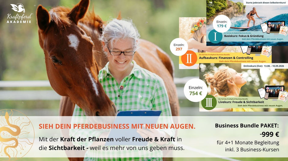 Business Bundle PAKET (Teil 1 + 2 + 3) als Special-Deal mit Bonus-Monat