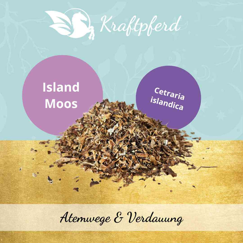 Island Moos, geschnitten - 600 g