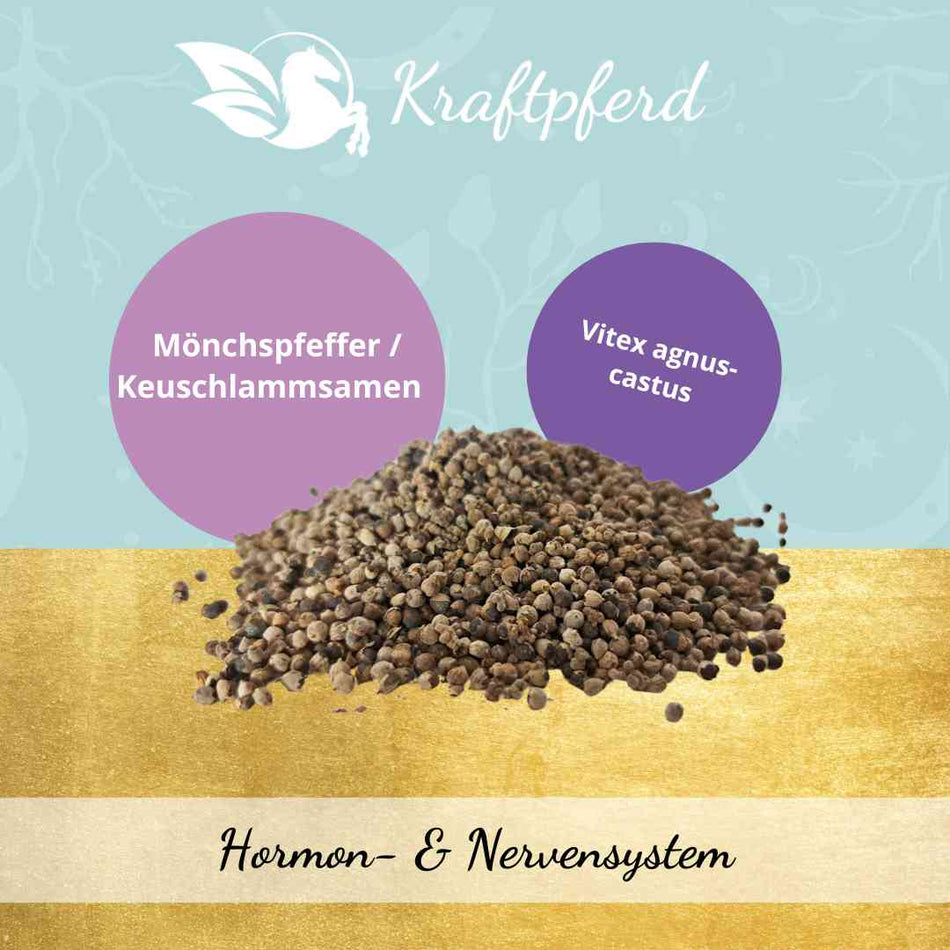 Keuschlammsamen (Mönchspfeffer) ganz - 700 g * MHD: 31.08.24