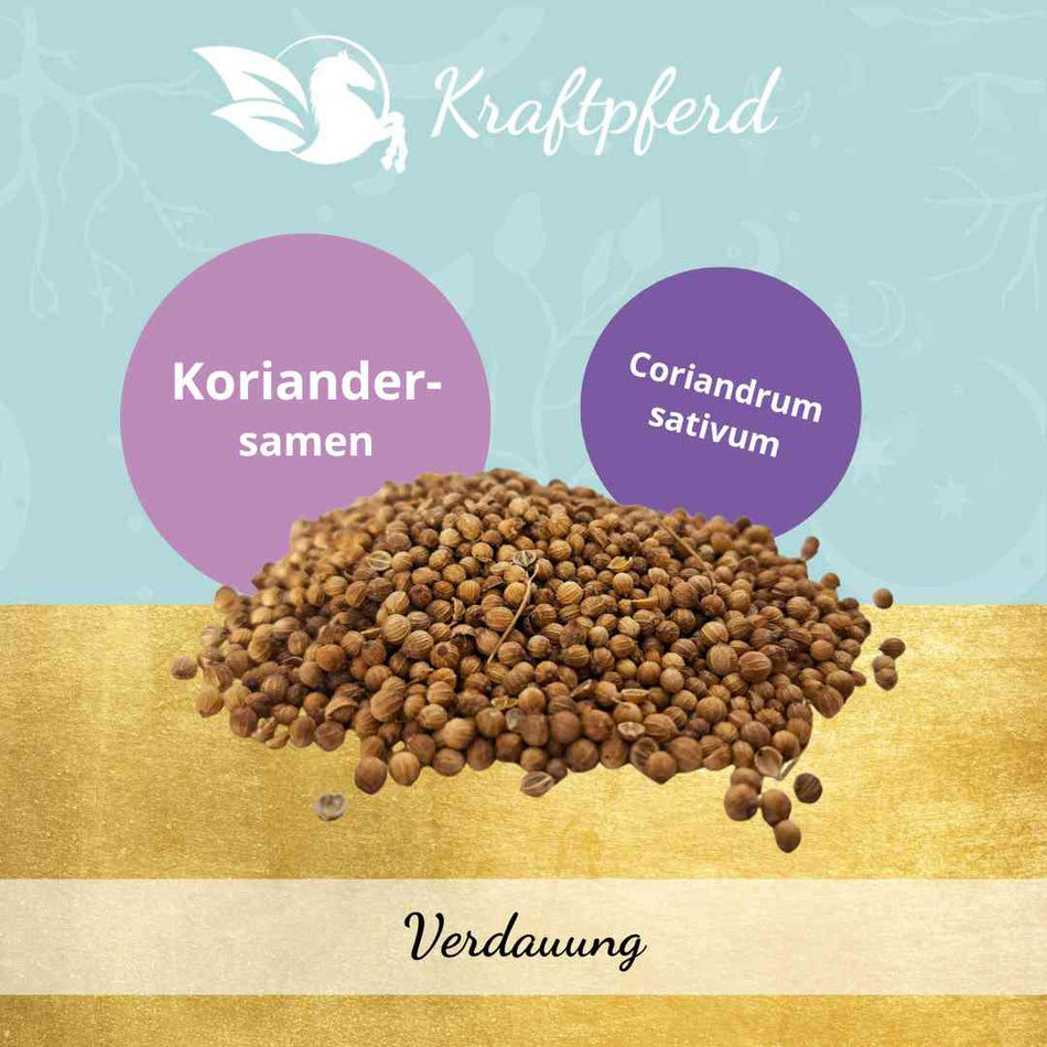Koriander, ganze Samen - 400 g * MHD: 30.11.24