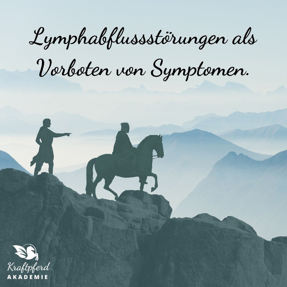 Masterclass "Lymphsystem & Milz beim Pferd" - Videokurs Phytotherapie & Psychosomatik