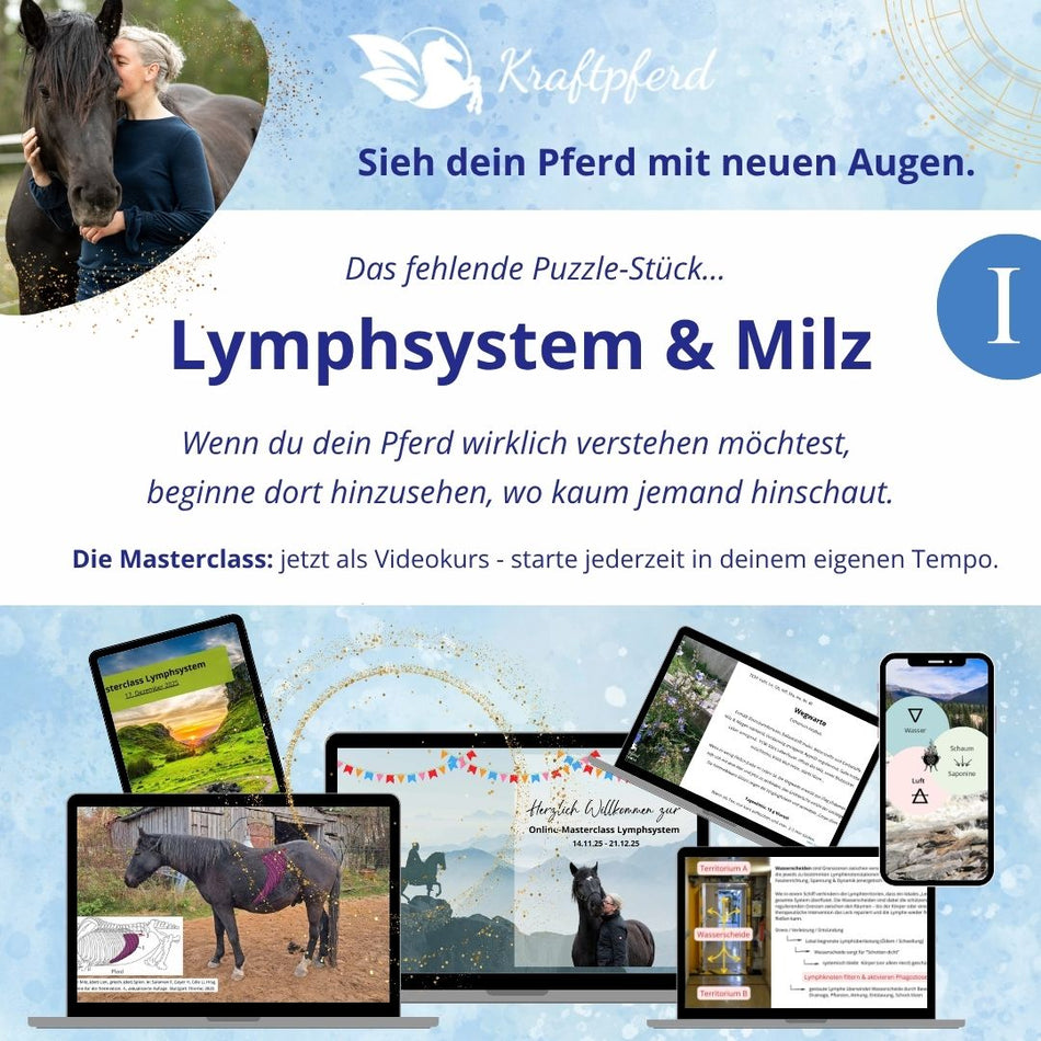 Masterclass "Lymphsystem & Milz beim Pferd" - Videokurs Phytotherapie & Psychosomatik