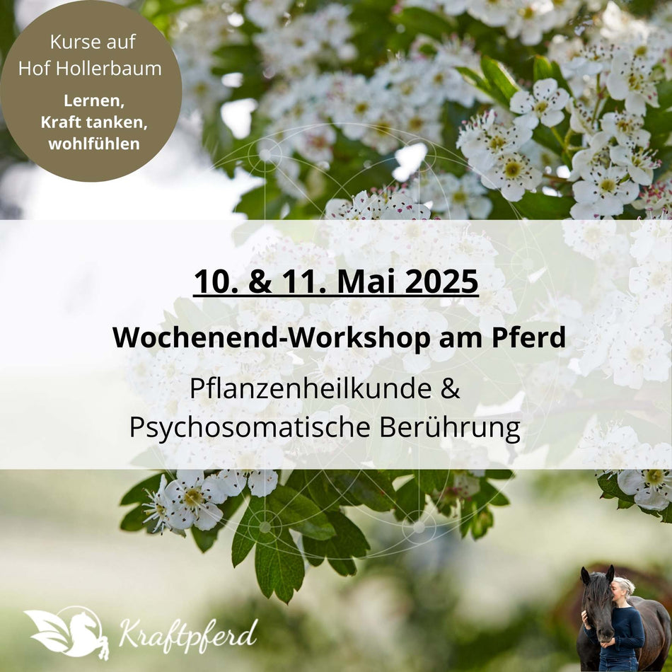 10. + 11. Mai 2025 - Wochenend-Workshop * Pflanzenheilkunde & Psychosomatische Berührung