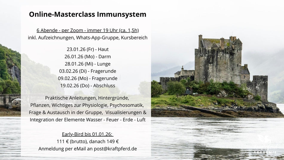 Online-Masterclass: Immunsystem (Pferd)