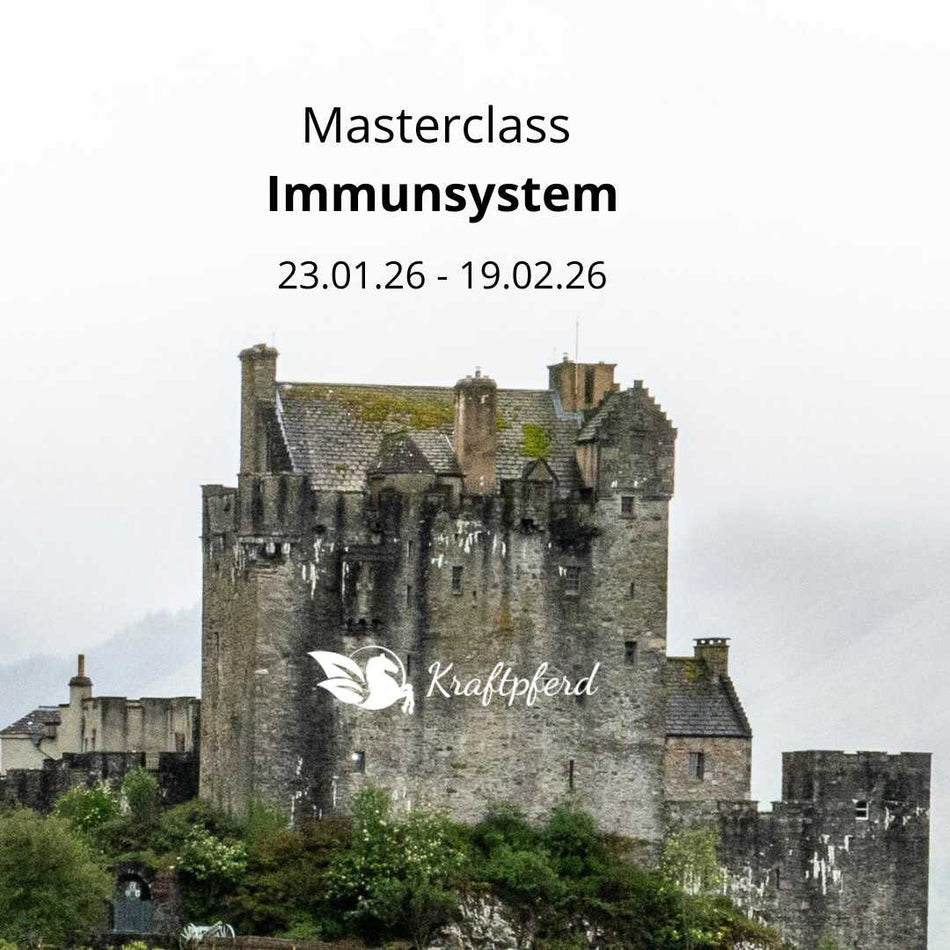 Online-Masterclass: Immunsystem (Pferd)