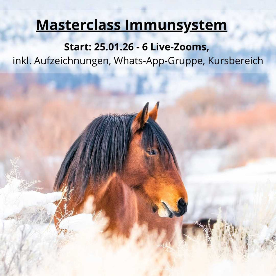 Online-Masterclass "Immunsystem Pferd" *** ausverkauft