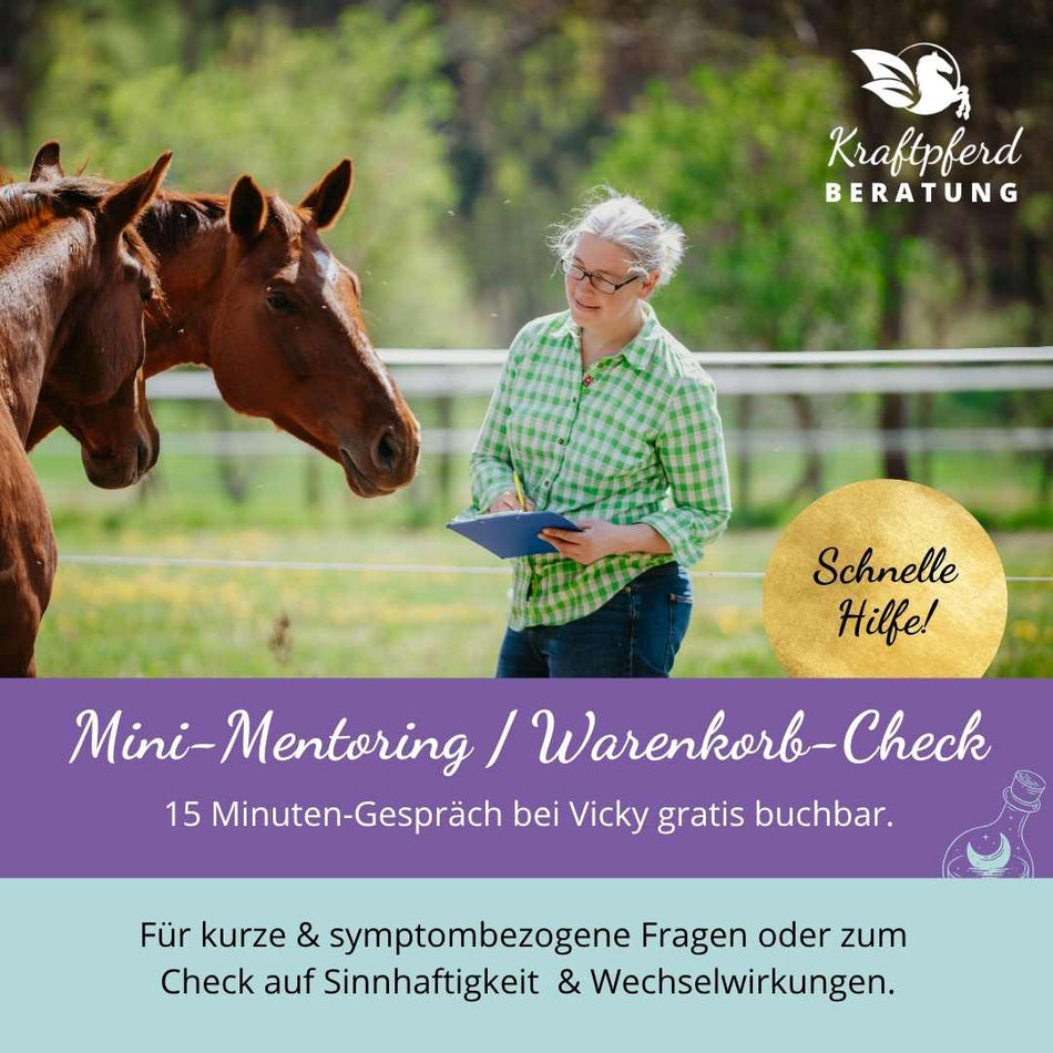 15 Minuten Mini-Mentoring / Warenkorb-Check per Telefon