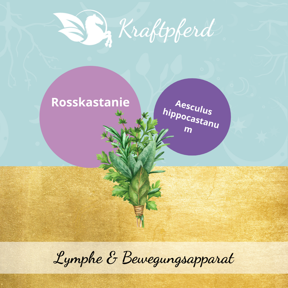 Rosskastanienfrüchte, gemahlen - 350 g