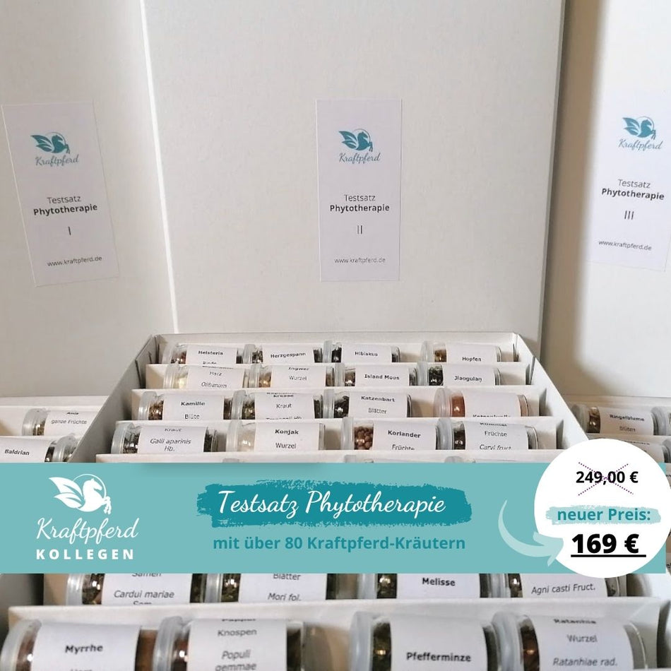 Testsatz Phytotherapie groß - Kraftpferd