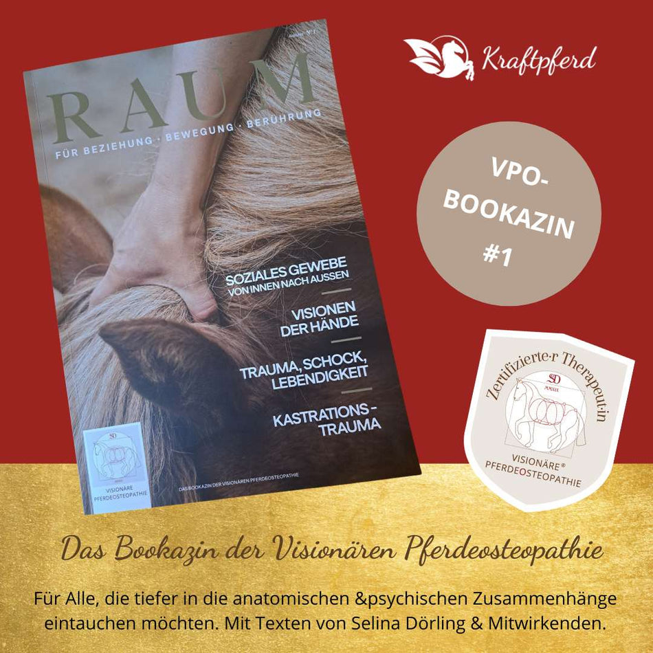 RAUM für Beziehung, Bewegung, Berührung - das Bookazin der VPO - Visionäre Perdeosteopathie