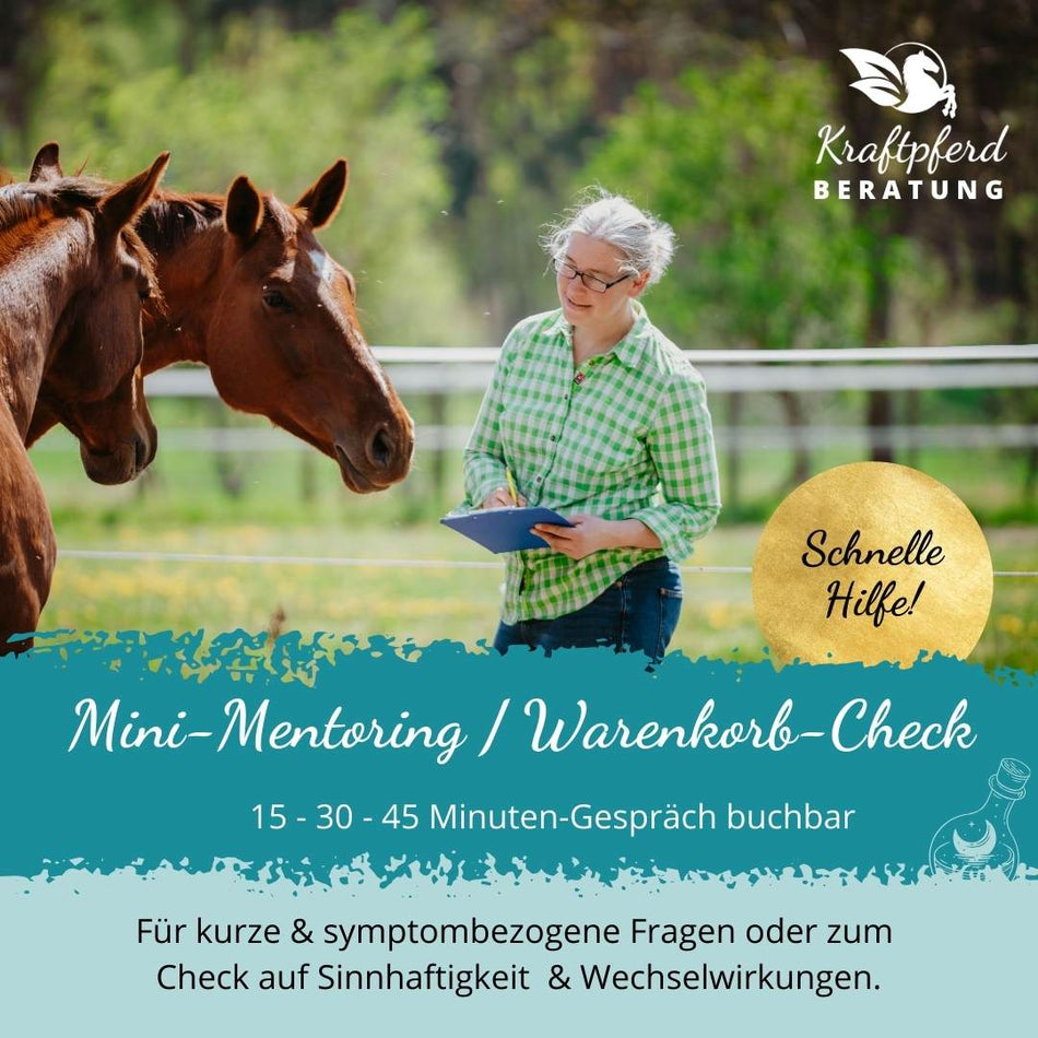 Mini-Mentoring /  Warenkorb-Check per Zoom oder Telefon