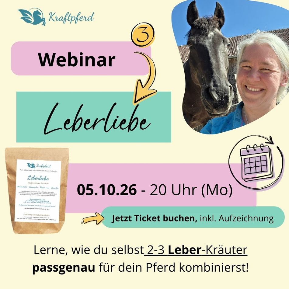 VIP-Ticket  "Entschlackungspaket" - 25.09.-15.10.26