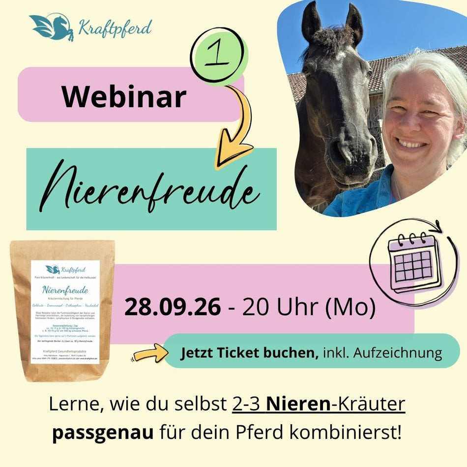 Webinar "Nierenfreude" - 28.09.26 - inkl. Aufzeichnung